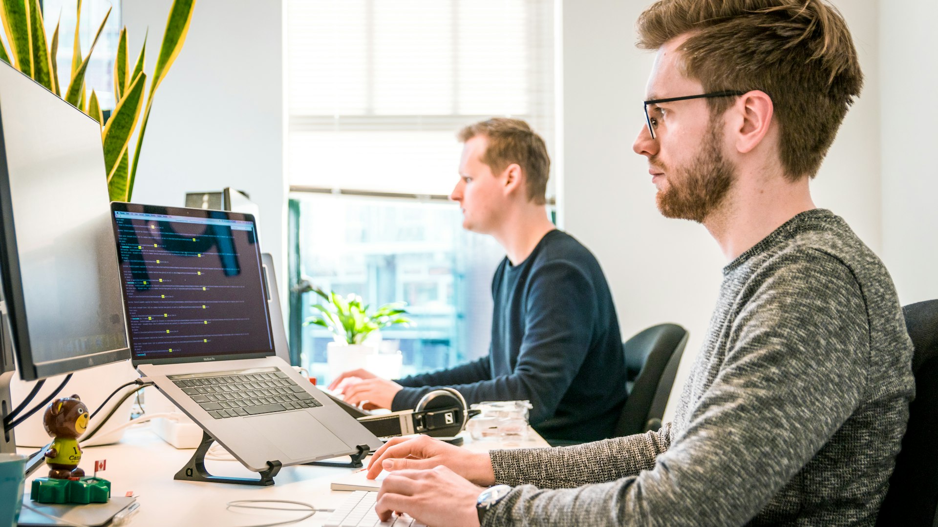 Web Development